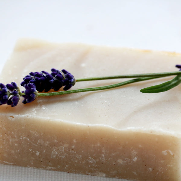 Lavender Rosemary Shampoo Bar  - Eco Friendly